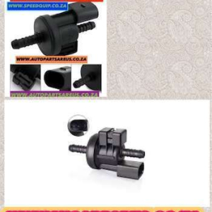 Purge Valves
